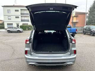 FORD Kuga usata, con Servosterzo