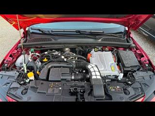 RENAULT Clio usata, con Fendinebbia