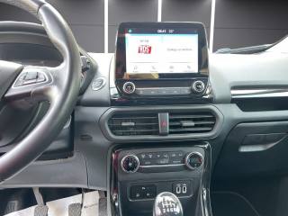 FORD EcoSport usata, con Filtro antiparticolato