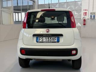 FIAT Panda usata, con Climatizzatore