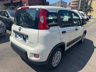 FIAT Panda usata, con Alzacristalli elettrici