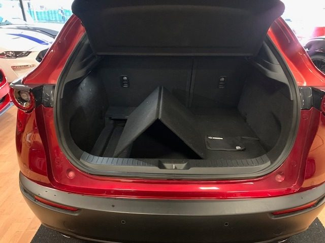 MAZDA CX-30 usata, con Fendinebbia