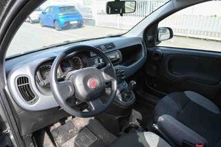 FIAT Panda usata, con Servosterzo