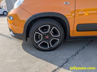 FIAT Panda usata 17