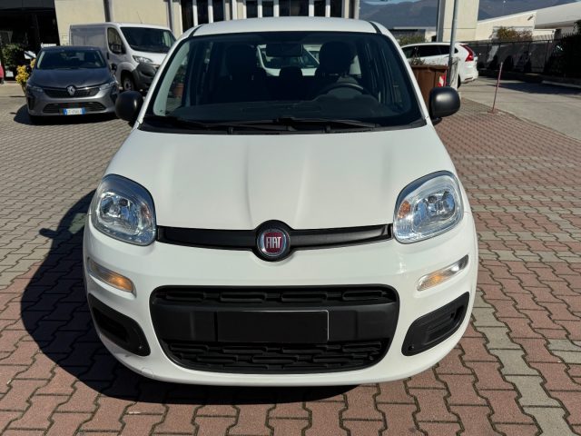 FIAT New Panda usata, con Airbag Passeggero