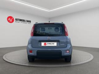 FIAT Panda usata, con Antifurto