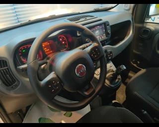 FIAT New Panda usata, con Controllo automatico clima