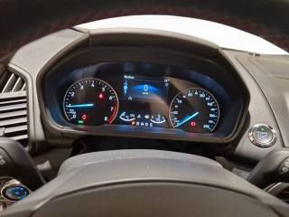 FORD EcoSport usata, con Bracciolo