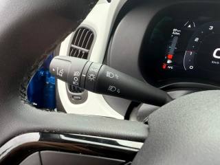 FIAT Panda Cross usata, con Vetri oscurati