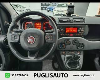 FIAT Panda Cross usata, con Climatizzatore