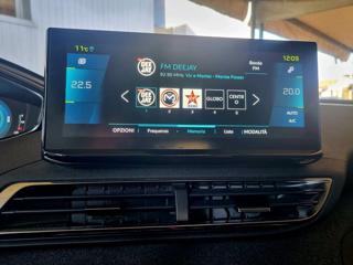 PEUGEOT 3008 usata, con Bracciolo