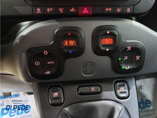 FIAT Panda usata 25