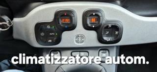 FIAT Panda Cross usata, con Controllo trazione
