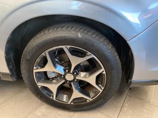 SUBARU Forester usata, con Antifurto