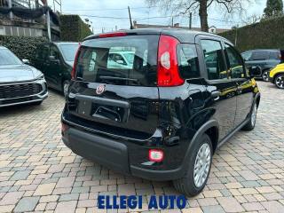 FIAT Panda usata, con Boardcomputer