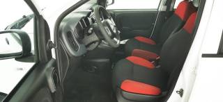 FIAT Panda usata 13