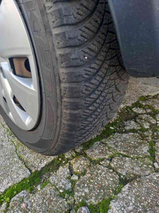 TOYOTA Yaris usata 24