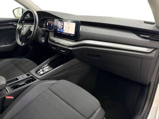 SKODA Octavia usata, con Airbag testa