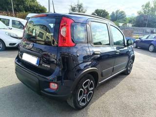 FIAT Panda usata 6