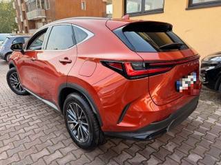 LEXUS NX 300h usata, con Antifurto