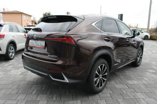 LEXUS NX 300h usata, con Airbag Passeggero
