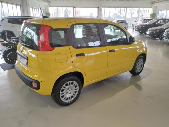 FIAT Panda usata, con Alzacristalli elettrici