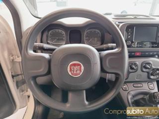 FIAT Panda usata 18