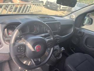 FIAT Panda Cross usata, con Specchietti laterali elettrici