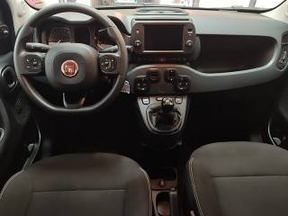 FIAT Panda Cross usata, con Servosterzo