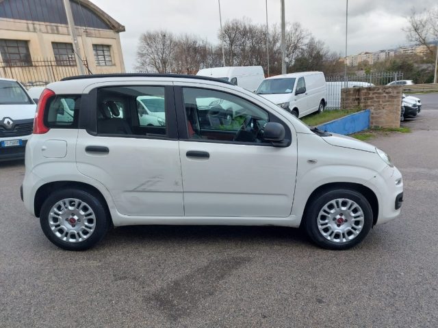 FIAT Panda usata, con Chiusura centralizzata