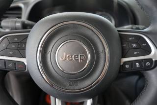 JEEP Renegade usata, con Supporto lombare