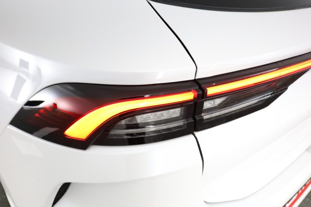 FORTHING Friday HEV usata 16