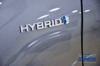 TOYOTA Yaris usata, con Immobilizzatore elettronico