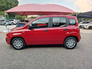FIAT Panda usata, con Alzacristalli elettrici