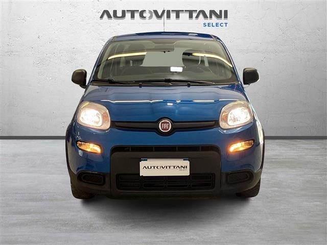 FIAT Panda usata, con Airbag Passeggero