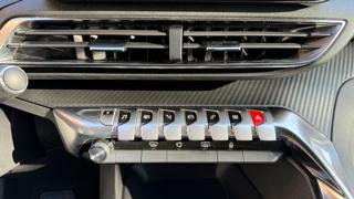 PEUGEOT 3008 usata, con Vetri oscurati