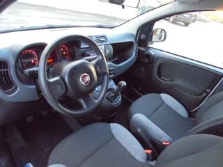 FIAT Panda usata 17