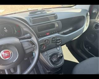 FIAT Panda usata, con Immobilizzatore elettronico