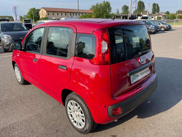 FIAT Panda usata, con Climatizzatore