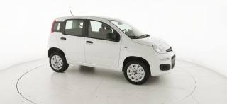 FIAT Panda usata 22