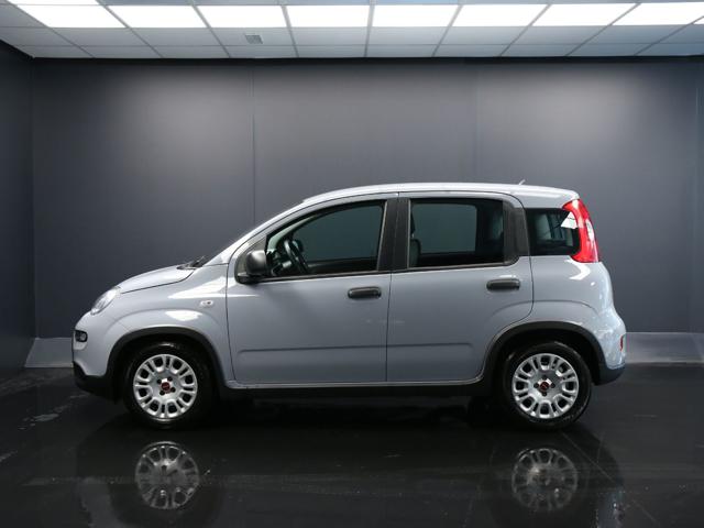 FIAT Panda usata, con Chiusura centralizzata