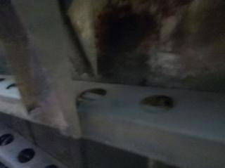 FIAT 1100 usata 15