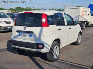 FIAT Panda usata, con Servosterzo