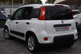 FIAT Panda usata, con Alzacristalli elettrici