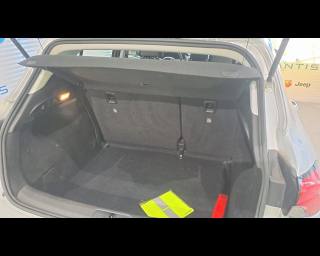FIAT Tipo usata, con Airbag testa
