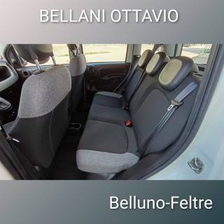 FIAT Panda usata, con Servosterzo