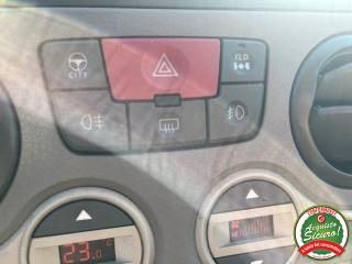 FIAT Panda usata 12