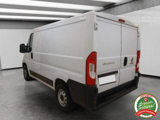 FIAT Ducato usata, con Servosterzo