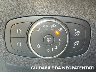 FORD Puma usata, con Cerchi in lega