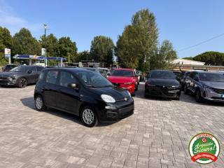 FIAT Panda usata, con Alzacristalli elettrici